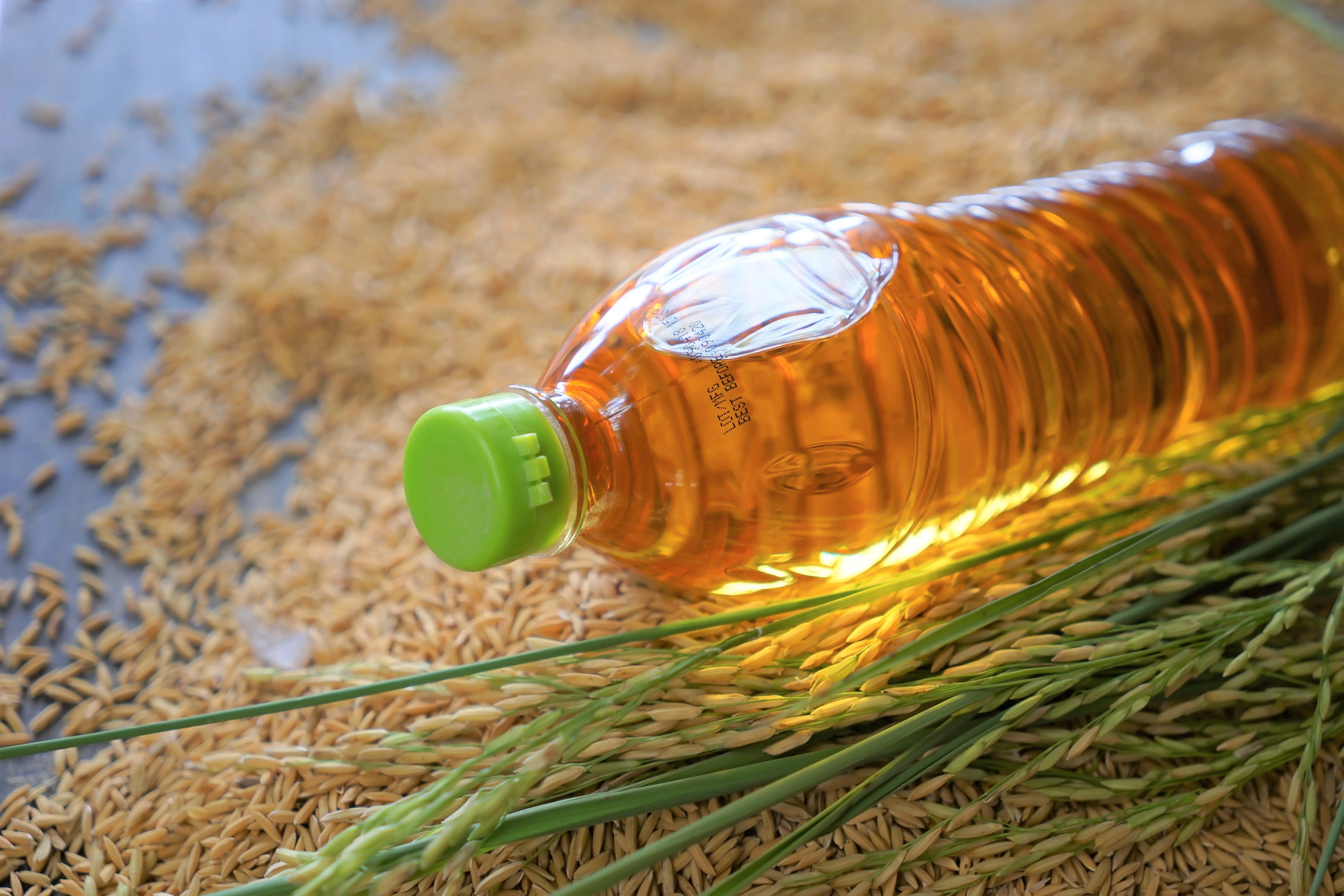 crude rice bran oil